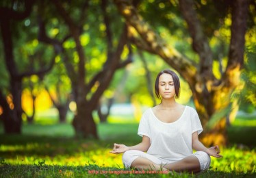 龙珠直播-世俱杯赛场应急响应体系完善与演练实况